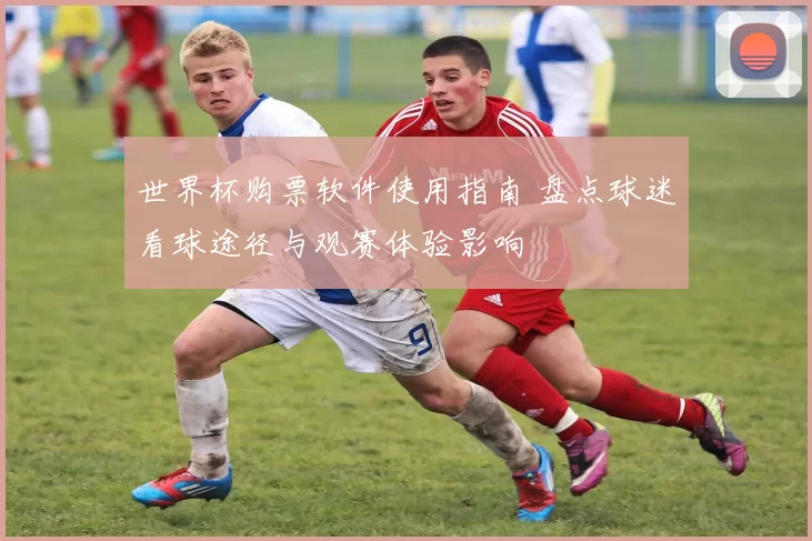 世界杯购票软件使用指南 盘点球迷看球途径与观赛体验影响